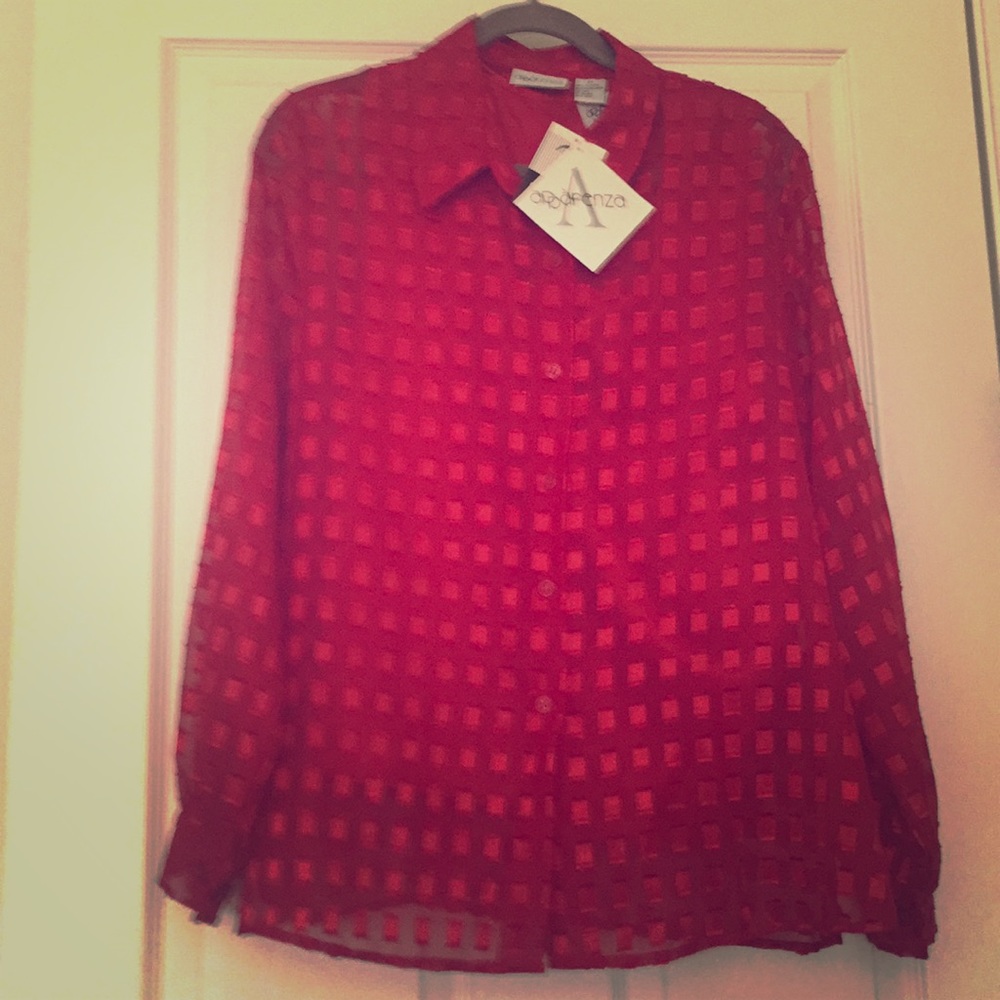 Sheer red blouse and matching camisole